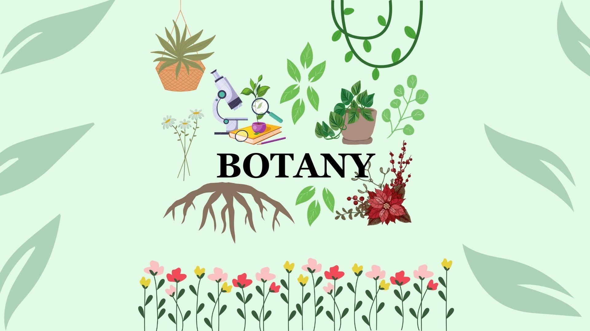 Botany